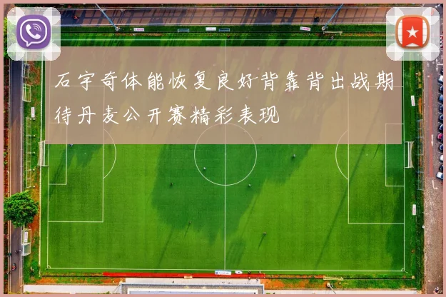 石宇奇体能恢复良好背靠背出战期待丹麦公开赛精彩表现
