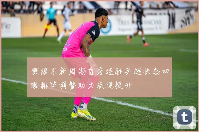 樊振东新周期首秀连胜乒超状态回暖排阵调整助力表现提升